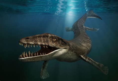 10 Prehistoric Sea Creatures Were Thankful Are Extinct