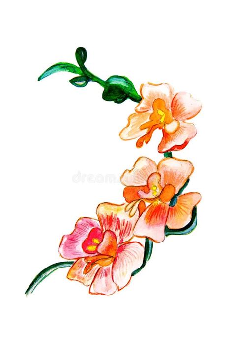 Flowers Painted With Watercolors Stock Illustration Illustration Of