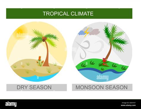 Round Illustrations For Tropical Climate Dry And Wet Monsoon Season