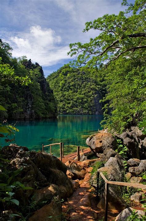 Lake Kayangan Coron Palawan Philippines Asia S Largest Fresh Water Lake In 2019 Coron