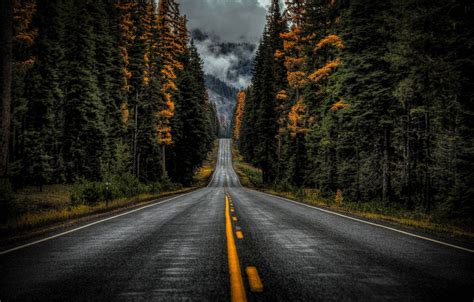 Wallpaper Road Autumn Forest Trees Washington Washington State