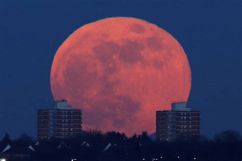Blue Moon Uk Pictures Show Massive Moon As Astronomers Reveal Best