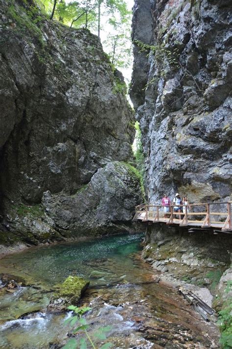 De prachtige Vintgar kloof in Slovenië bezoeken Info v tips Slovenië Reizen kroatië Reisideeën