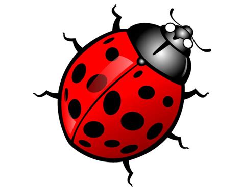 Free Cute Insect Clipart Free Images At