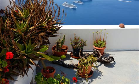 Giardini terrazzi fioriti 1 codiferro master gardener. Terrazzi Fioriti Al Mare - Wandfarben