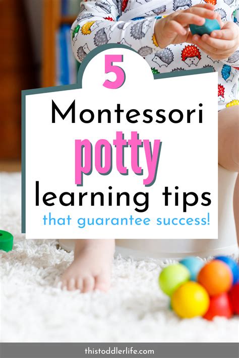 5 Montessori Potty Training Tips That Guarantee Success Potty