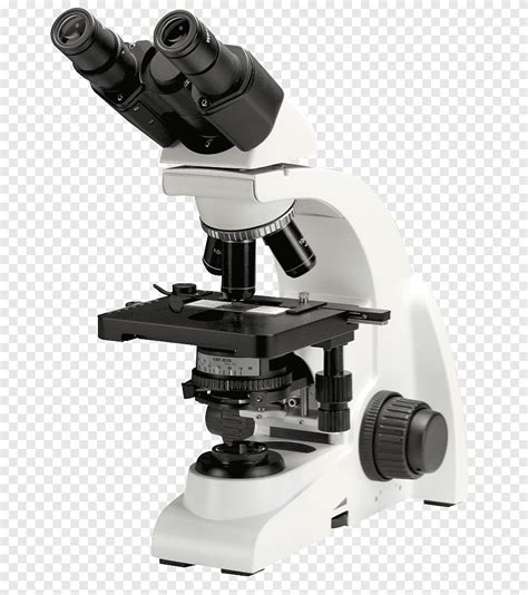 Microscopio óptico microscopía de contraste microscopía estereoscópica