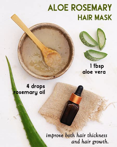Overnight Aloe Vera Hair Masks The Little Shine