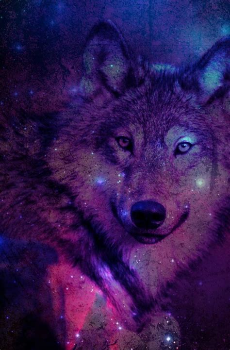 We've gathered more than 5 million images uploaded by our users and sorted them by the most popular ones. 46+ Galaxy Wolf Wallpaper on WallpaperSafari