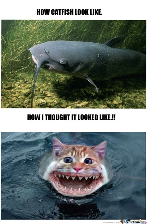 Catfish Jokes