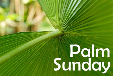 Palm Sunday 2021 Catholic Church Bulletin 11 Palm Sunday John 12