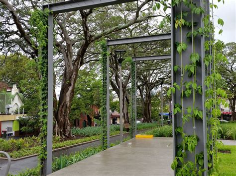 Using Vertical Garden Frames As Plant Support Structures Tensile