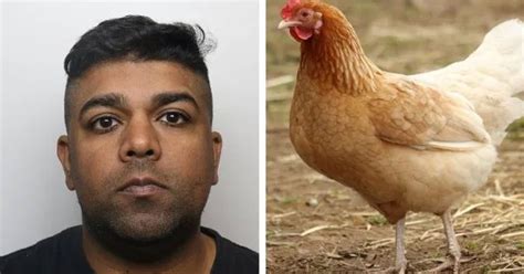 Man Charged With Sexually Abusing Chickens While Being Filmed By His Wife