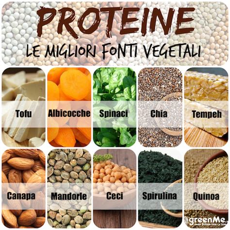 Le 10 Migliori Fonti Vegetali Di Proteine Greenme Alimenti