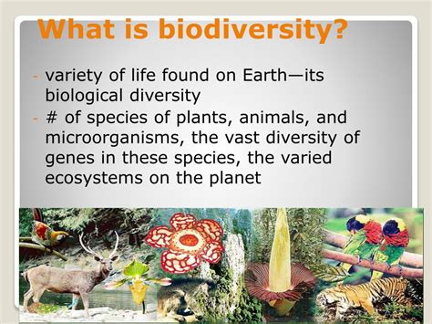PPT Greenhouse Effect And Biodiversity PowerPoint Presentation Free