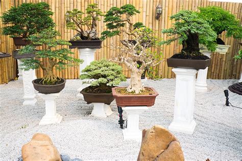 We hope this post brought you lots of backyard ideas that you can start using to transform your yard into one of your favorite places in the world. 20 Japanese Botanical Garden Design Ideas To Inspire Your ...