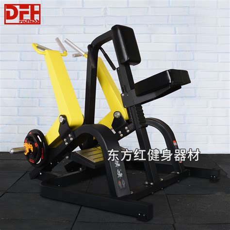 Bumblebee Seated Posture Rowing Back Muscle Back Extension Strength