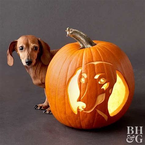 Carve A Pumpkin That Looks Just Like Your Dog With Our Free Stencils