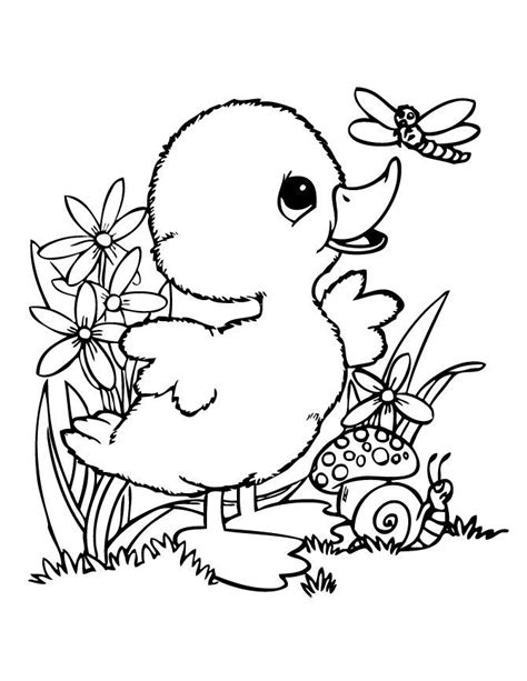 Free Printable Duck Coloring Pages