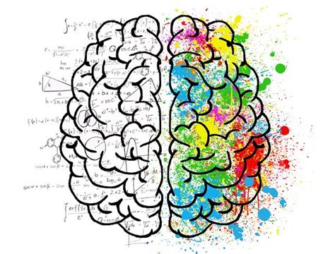 Conscious Vs Unconscious Brain Function Logic Mind And Health