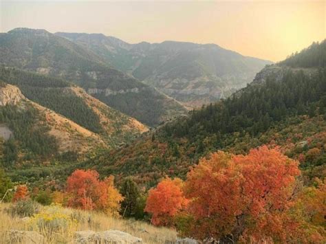 Logan Canyon In Utah Is The Perfect Place To See Fall Foliage