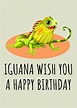 Iguana Birthday Card - Iguana Greeting Card - Iguana Owner Card ...