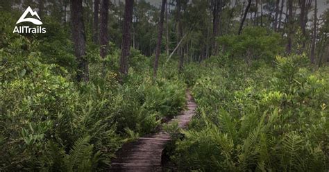 Best Trails In Ocala National Forest Florida Alltrails