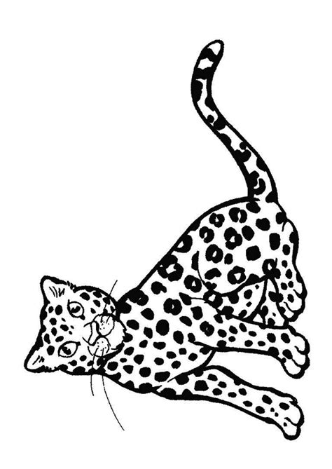 Coloriage Bebe Leopard Coloriage Sur