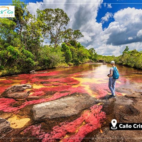 Caño Cristales Colombian River River Of Five Colors Amazing Facts