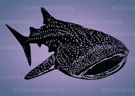 Items Similar To Vector Spotted Shark Fish Ai Eps Pdf Svg Dxf