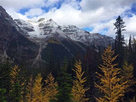 Paradise Valley Banff National Park Stock Photos Pictures And Royalty