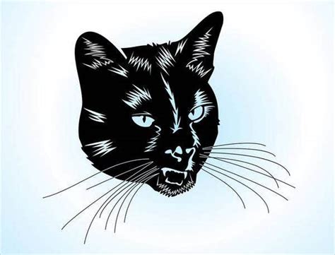 Cat drawing cute face handdrawn sketch ai eps vector. 9+ Cat Vectors | Free & Premium Templates