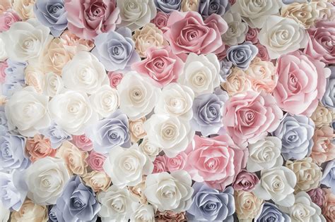 Pastel Rose Flower Wallpapers Top Free Pastel Rose Flower Backgrounds
