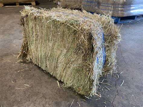 Victorian Pasture Hay Compressed Bales Mamre Produce