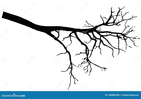 Beautiful Bare Branch Tree Silhouette Vector Illustration Stock Vector