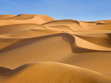 Sand Dunes Wallpaper 1600x1200 79802