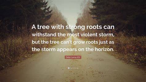 Quotes On Trees And Roots Missive Now