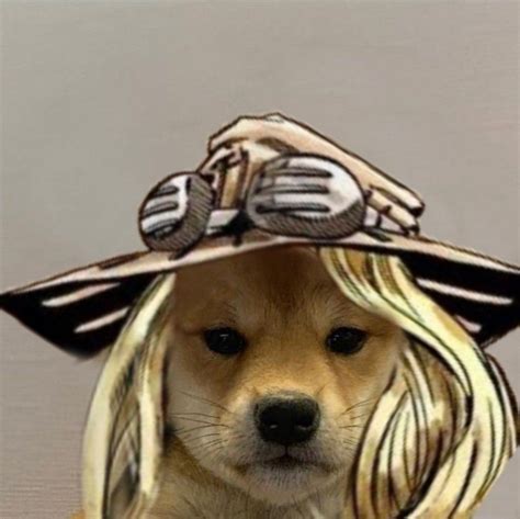 Dog With Hat Meme Pfp 2021