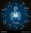 Scorpio Svg Zodiac Svg Bundle Zodiac Clipart Constell - vrogue.co