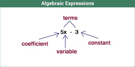 Algebraic Expressions Types Of Algebraic Expressions With Examples