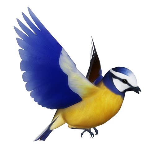 Purple Bird Clipart Birds Cartoon Birds And Clip Art Library