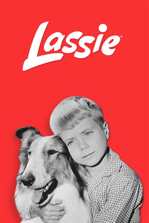 Watch Lassie Online Season 13 1966 Tv Guide