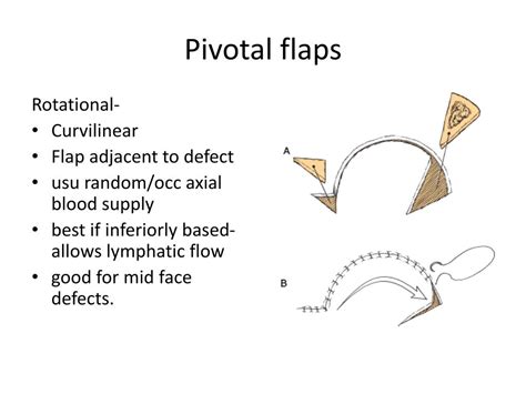 PPT Cummings Chap 24 Reconstruction Of Facial Defects PowerPoint