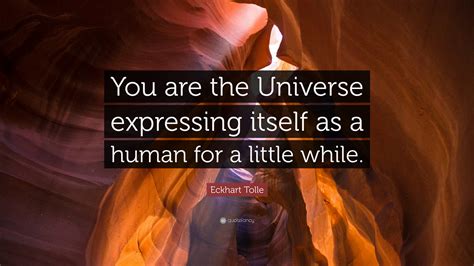 I am you, and you are me, and time doesn't exist, and we have been around forever, and we will be around forever. Eckhart Tolle Quote: "You are the Universe expressing itself as a human for a little while." (12 ...