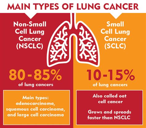 Lung Cancer Types Chart