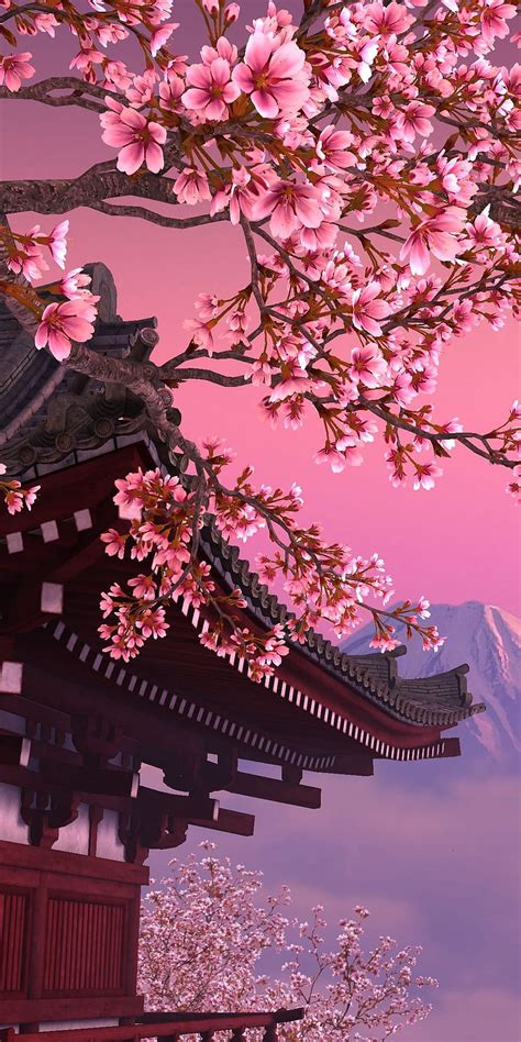 update more than 78 anime cherry blossom wallpaper super hot vn