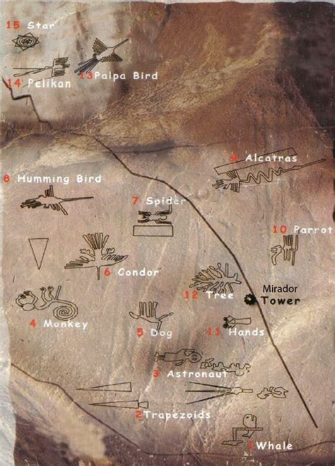 Map Of Nazca Line Design Peru Ancient Aliens Ancient Astronaut