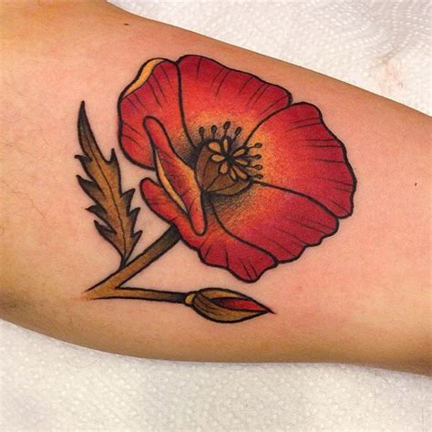 Poppy Tattoos Designs Ideas And Meaning Tattoos For You