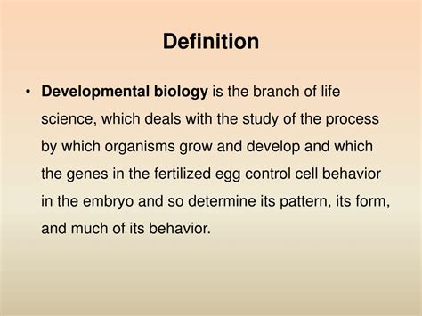 Ppt The Origin Of Developmental Biology Powerpoint Presentation Free