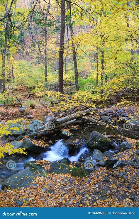 Autumn Creek Stock Photo Image Of River Delaware Autumn 16696380